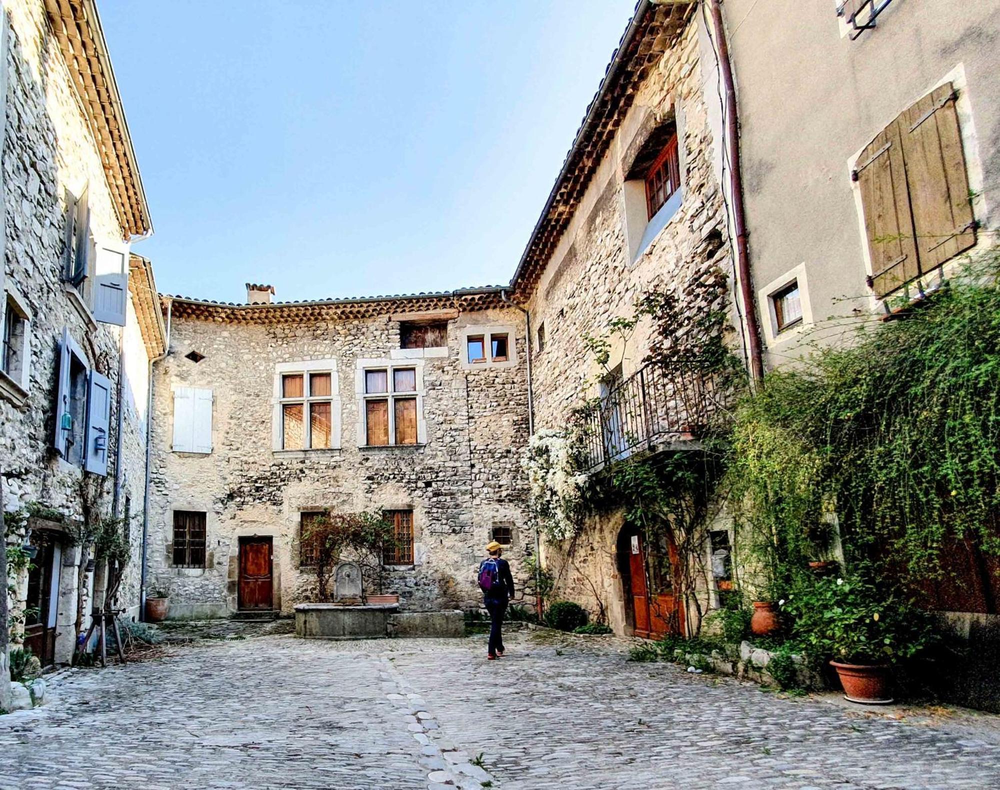 Le Dauphine Otel Châtillon-en-Diois Dış mekan fotoğraf