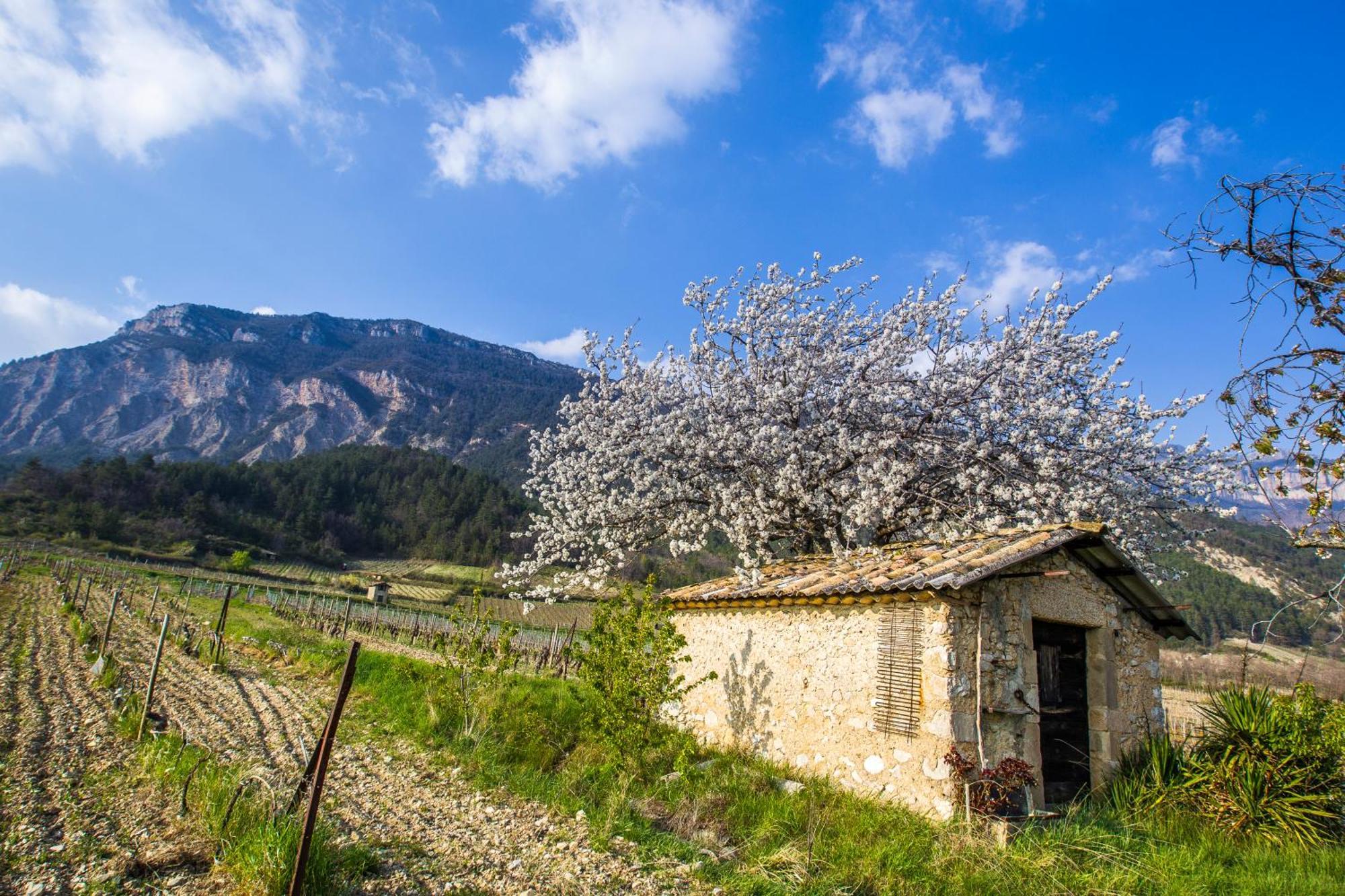 Le Dauphine Otel Châtillon-en-Diois Dış mekan fotoğraf