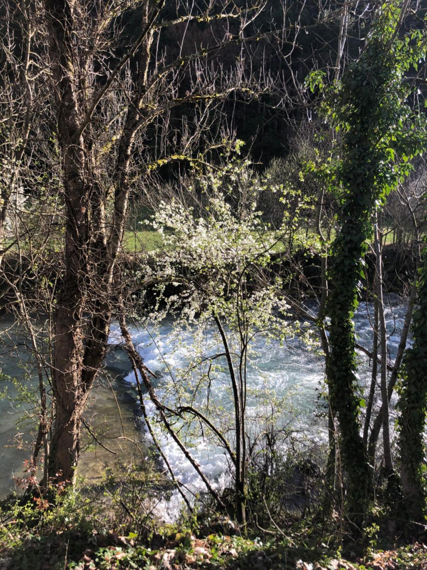 Le Dauphine Otel Châtillon-en-Diois Dış mekan fotoğraf